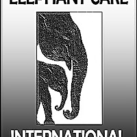 Elephant Care International Blog