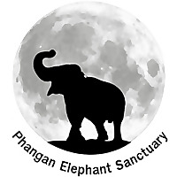 Phangan Elephant Sanctuary News