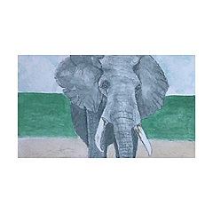 Elephant Spoken Here
