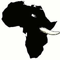 Elephants For Africa News