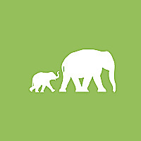 Elephant Family News