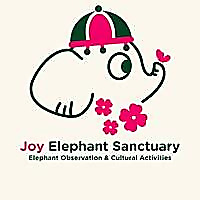Joy Elephant Sanctuary, Chiang Mai Blog