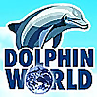 Dolphin World Blog