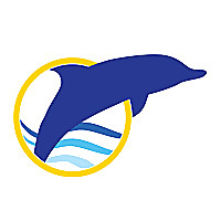 Blue Wave Adventures Dolphin Watch Tour Blog