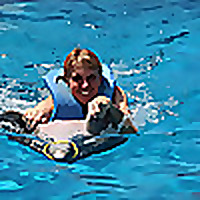 Miami Swim with Dolphins Tours and Tickets Blog