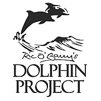 Dolphin Project Blog
