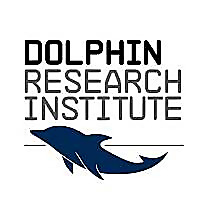 Dolphin Research Blog