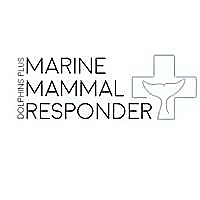 Dolphins Plus Marine Mammal Responder Blog