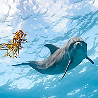 Wild Dolphin Project Blog