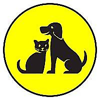 Mobile Pet Shine Blog