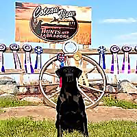 Coteau View Hunts Blog