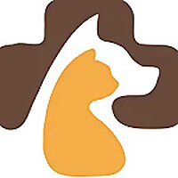 Jack Pet Grooming Blog