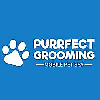 Purrfect Pet Grooming Blog