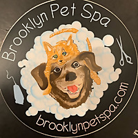 Brooklyn Pet Spa Blog