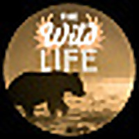 The Wild Life Blog