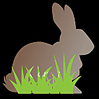 Homestead Rabbits Blog