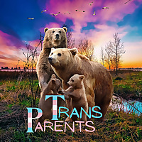 TransParents