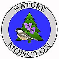 Nature Moncton Nature Blog