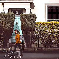House Sitters UK Blog