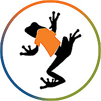 Big Frog Blog