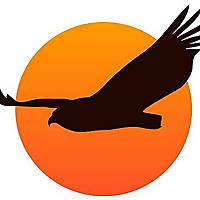 Wild Wings Safaris