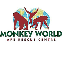 Monkey World News