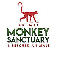 Akumal Monkey Sanctuary Blog