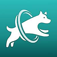 DogPack » Dog Travel Adventures