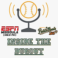 Inside the Dugout