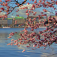 Hamburg and Northern Germany Blog