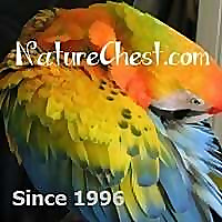 Nature Chest Blog