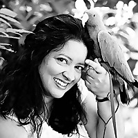 PDS Parrot Shop Blog