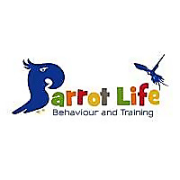 Parrot Life Blog