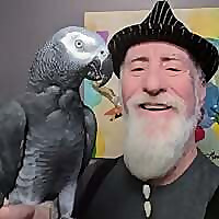 Windy City Parrot Blog