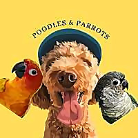 Poodles and Parrots Blog