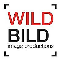 WILDBILD Blog