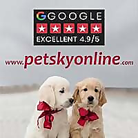 Pet Sky Blog