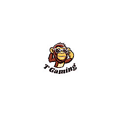 T Gaming Blog