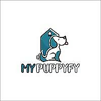 Puppify UAE Blog
