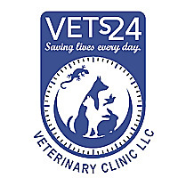 Vets24 Blog