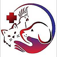 TopVet Clinic Blog