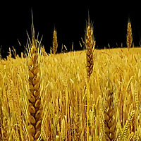 Elk River Baptist Church Blog
