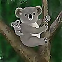 A Koala&#39;s Playground » TW & C Dramas