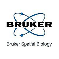 Bruker Spatial Biology Blog