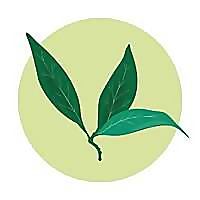 Pepperwood