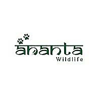 The Baagh Ananta Elite Blog