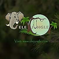 Elejungle Blog
