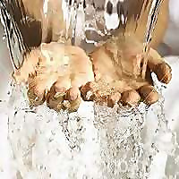 Marg Mowczko Blog &raquo; Marg Mowczko