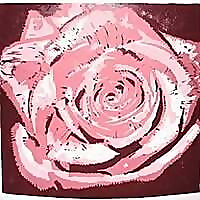 Shower of Roses Blog
