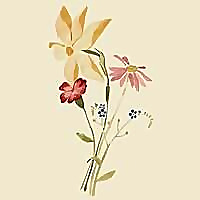 Topsham Homeopathic Practice Blog